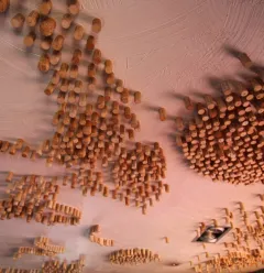 Le Loup Blanc ceiling