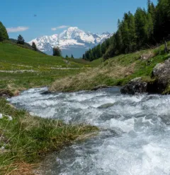 Le ruisseau de Pramain