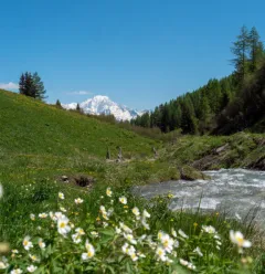 Le ruisseau de Pramain