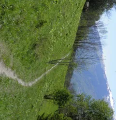 Rando bébé