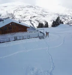 View of Le Joli Bois restaurant