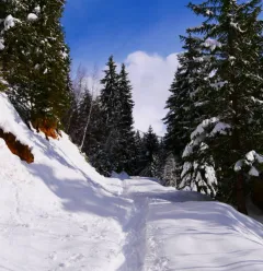 Les Dôdes itinerary