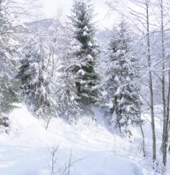 Les Dôdes itinerary