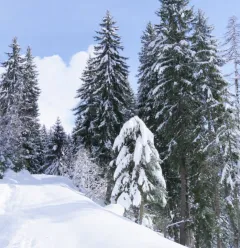 Les Dôdes itinerary