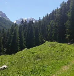 Le Bief trail