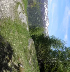 The Nature Trail