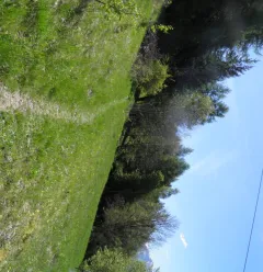 The Nature Trail