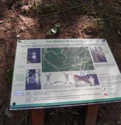 The Nature Trail
