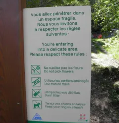 The Nature Trail