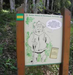 The Nature Trail