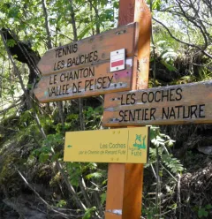 The Nature Trail
