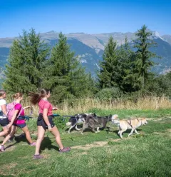 Cani Rando Montalbert