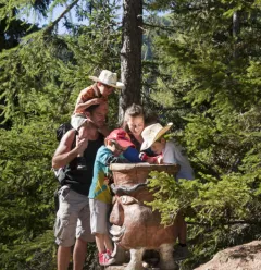 Les Alpages Enchantés trail