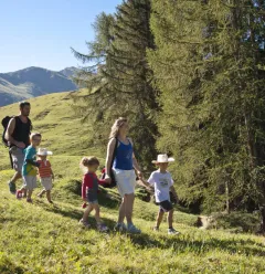 Les Alpages Enchantés trail