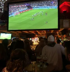 Wolrd cup