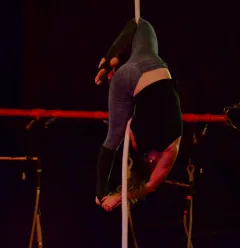 Circus show