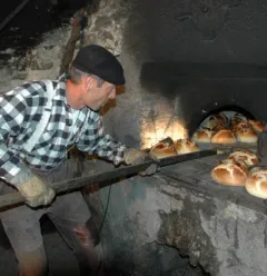 The bread festival