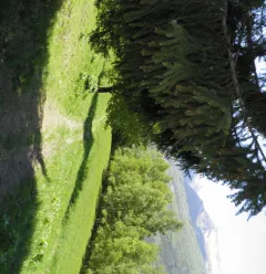 Le Chemin de la Pierra