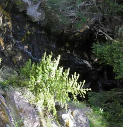 Le Chemin de la Pierra