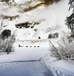 Dog sledding