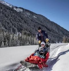 Dog sledding