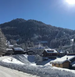Chalet les Jacobines