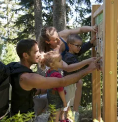 Biodiversity trail summer