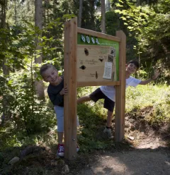 Biodiversity trail summer