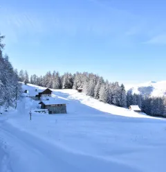 Hiking itinerary : Les Frasses_Montchavin-les-Coches