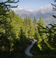 Mont Saint Jacques trail