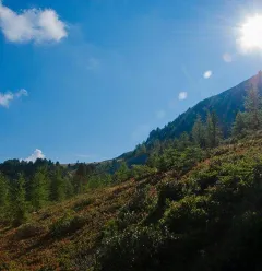 Mont Saint Jacques trail