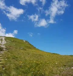 Mont Saint Jacques trail