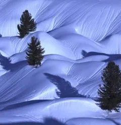 fresh snow