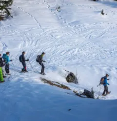 Descent on snowshoes