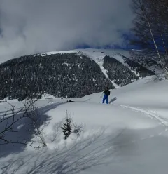 Snowshoeing excursion with guides and accompaniers