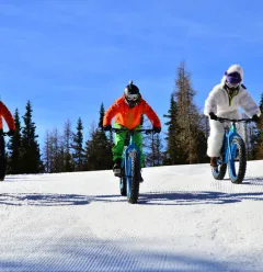 Fat Bike