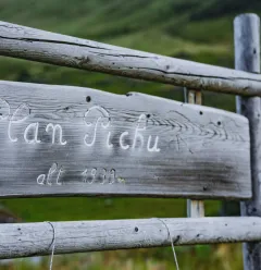 Hiking route : Plateau de Plan Pichu trail_Aime-la-Plagne