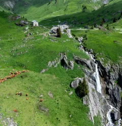 Hiking route : Plateau de Plan Pichu trail_Aime-la-Plagne
