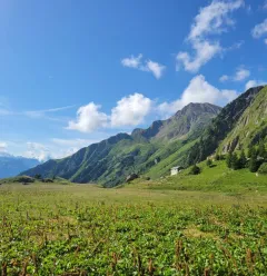 Hiking route : Sentier de la Croix du Berger_Aime-la-Plagne