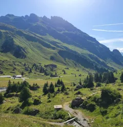 Hiking route : Sentier de la Croix du Berger_Aime-la-Plagne