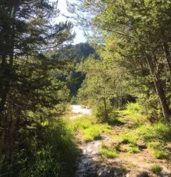 Water theme trail Montgirod