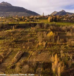 Vue aérienne des vignes