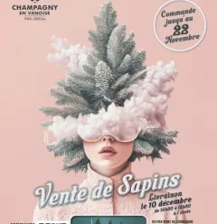 Sapins de Noel
