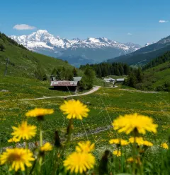 La Vallée des Bauches