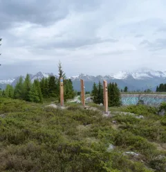 Observation points