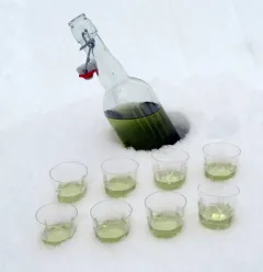 Genepi