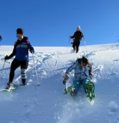 Descent