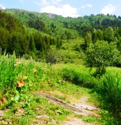 The Plan des Gouilles refuge by the Enclos du Seil