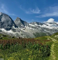 Go hiking with a guide