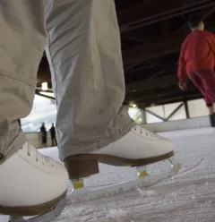 Skating rink